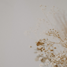 Soft wildflowers in warm natural tones